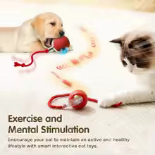 Smart Interactive Ball with Sounds for Small Dogs & Cat - Motion Activated Entertainment